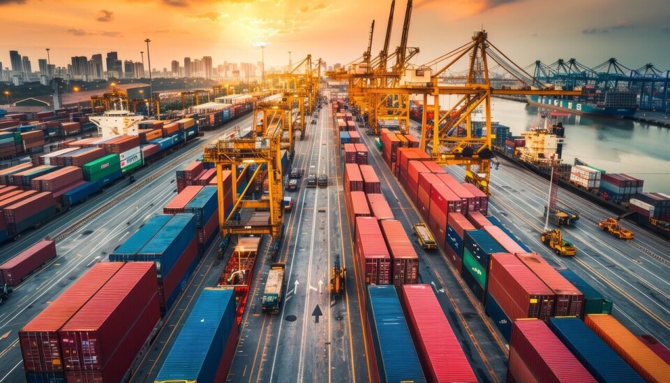 Las zonas primarias facilitan la coordinación entre los distintos actores del comercio internacional.