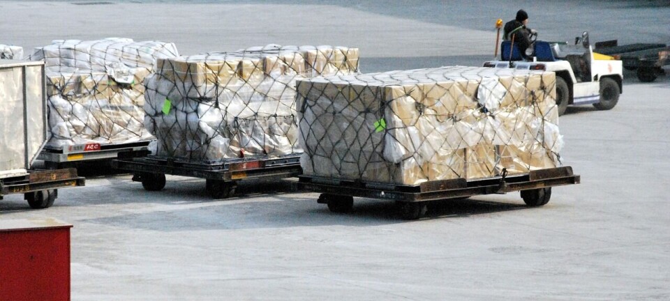 LATAM Cargo inicia temporada de exportación de cerezas al mercado asiático