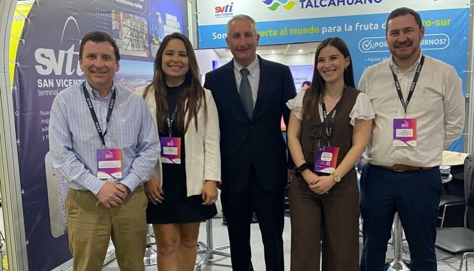 En 2024, SVTI manejó el 47% de los contenedores de fruta exportados en la región del Biobío.