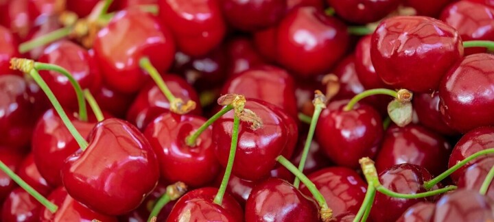Cerezas: Envíos llegarían a 131 millones de cajas para temporada 2025-2026